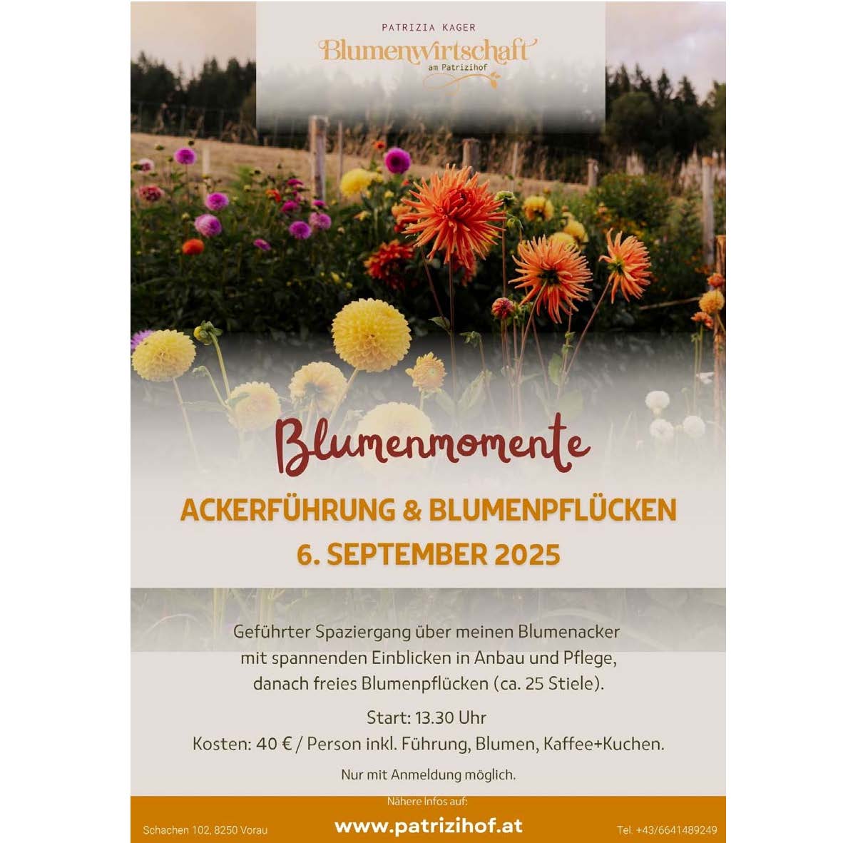 Read more about the article „Blumenmomente“ auf meinem Acker